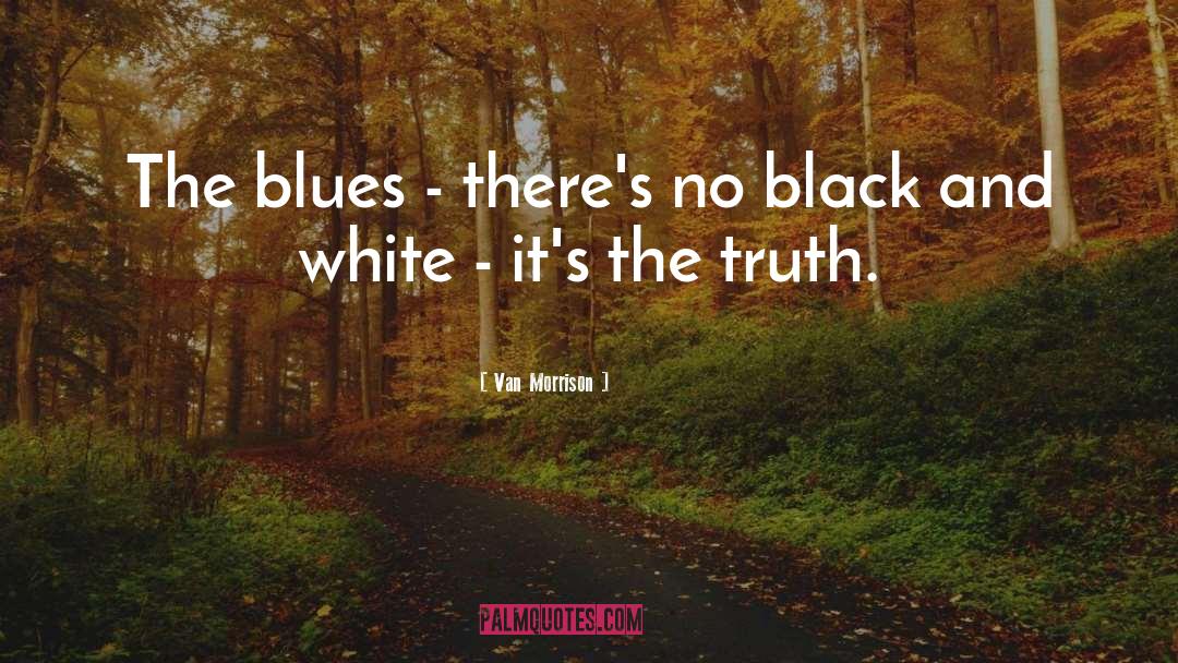 Van Morrison Quotes: The blues - there's no