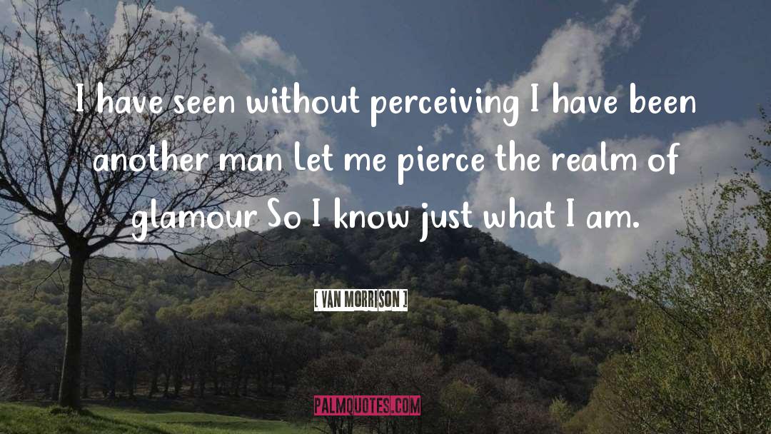 Van Morrison Quotes: I have seen without perceiving