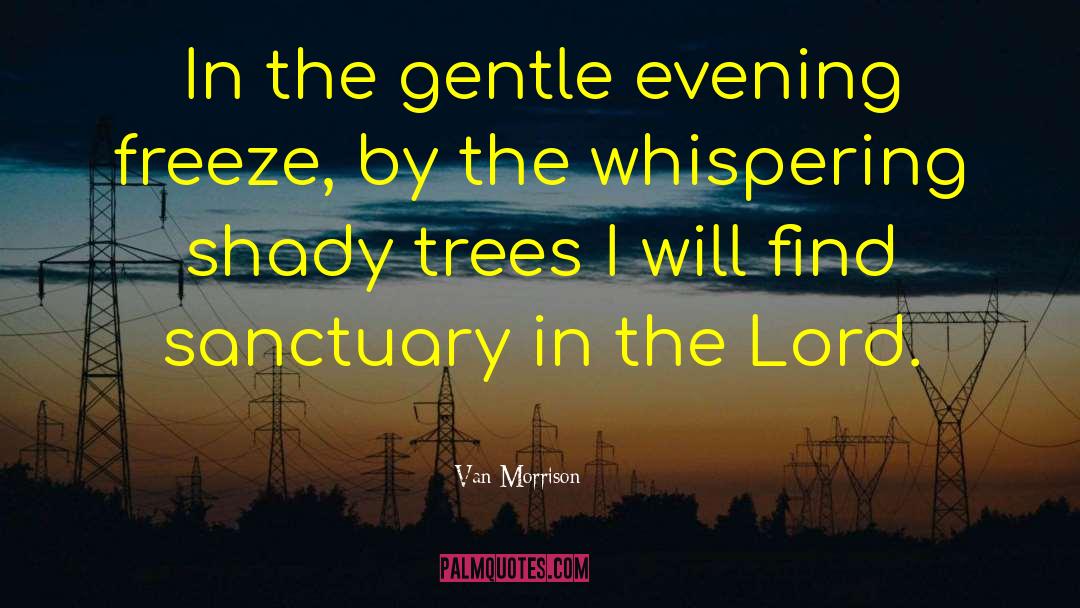 Van Morrison Quotes: In the gentle evening freeze,