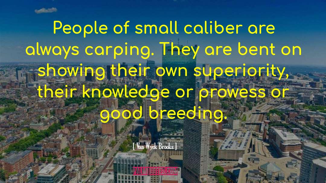 Van Wyck Brooks Quotes: People of small caliber are