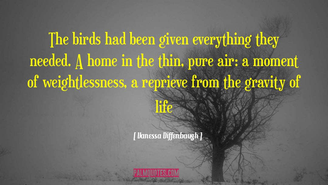 Vanessa Diffenbaugh Quotes: The birds had been given