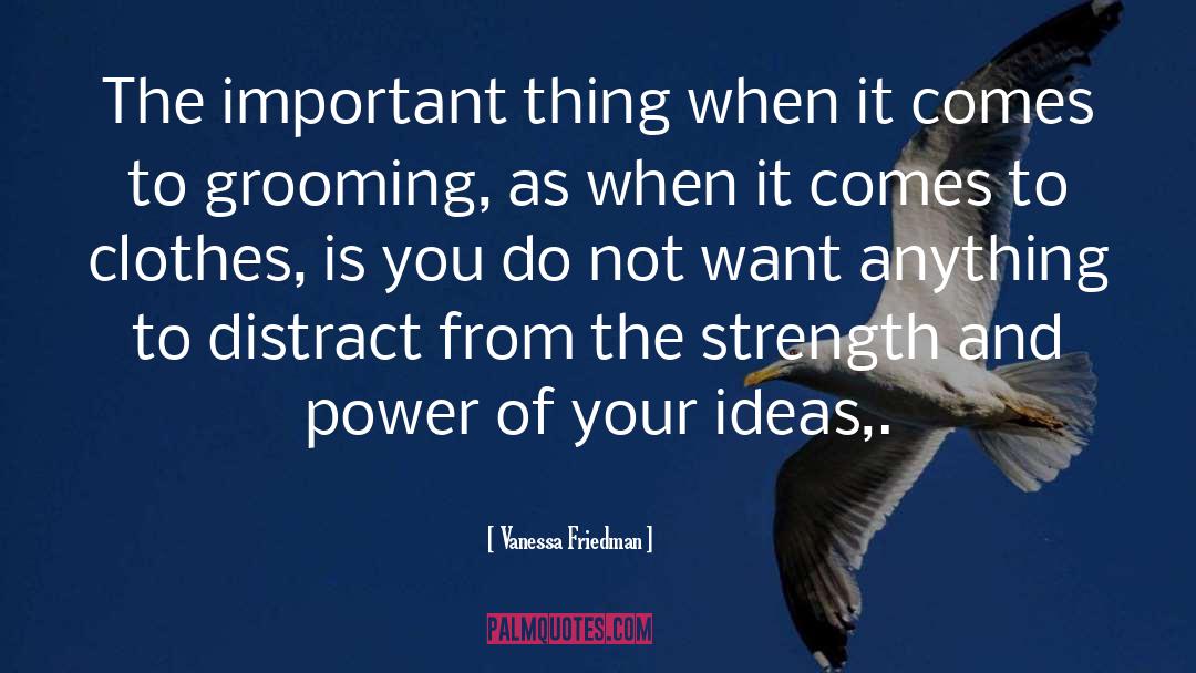 Vanessa Friedman Quotes: The important thing when it