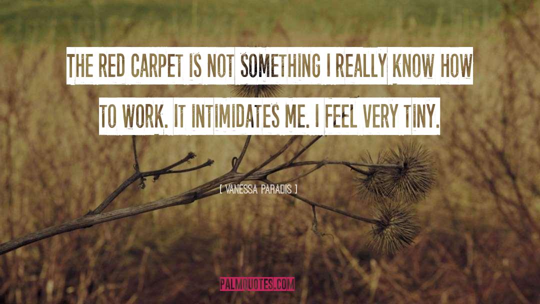 Vanessa Paradis Quotes: The red carpet is not