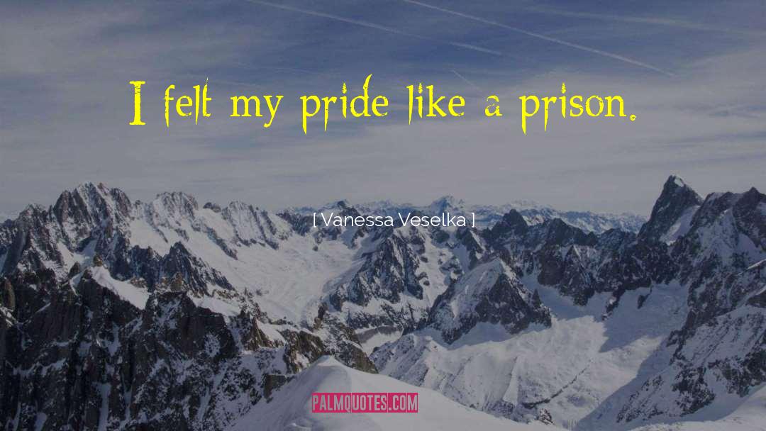 Vanessa Veselka Quotes: I felt my pride like