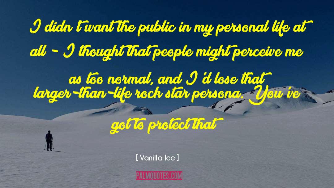 Vanilla Ice Quotes: I didn't want the public