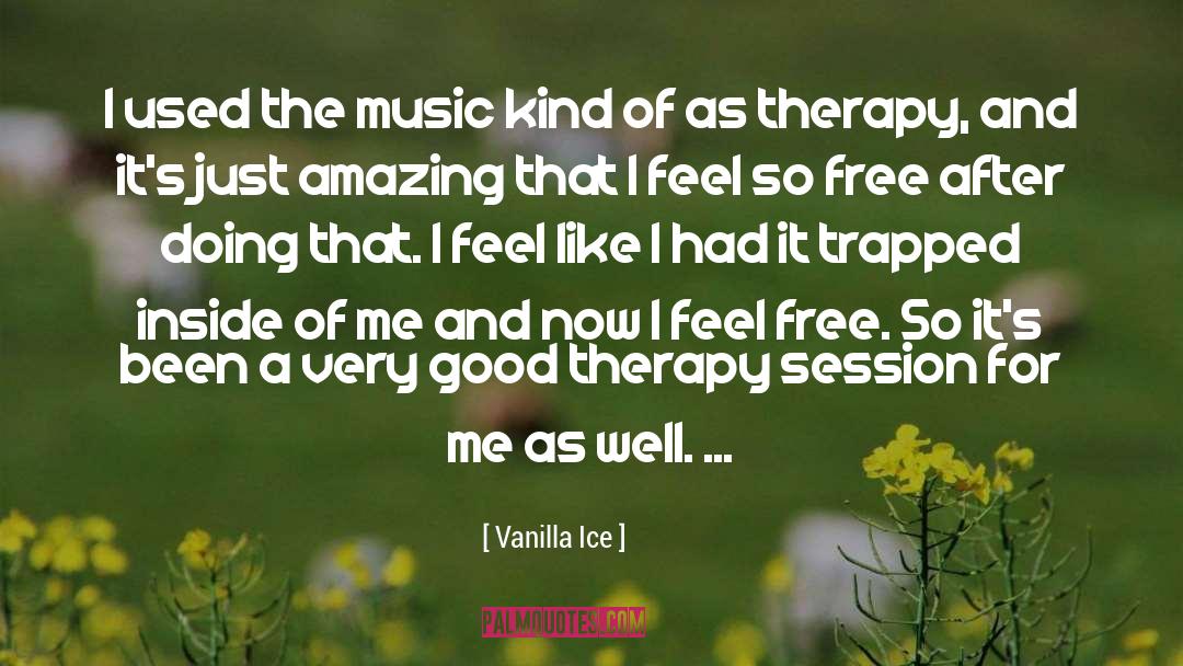 Vanilla Ice Quotes: I used the music kind