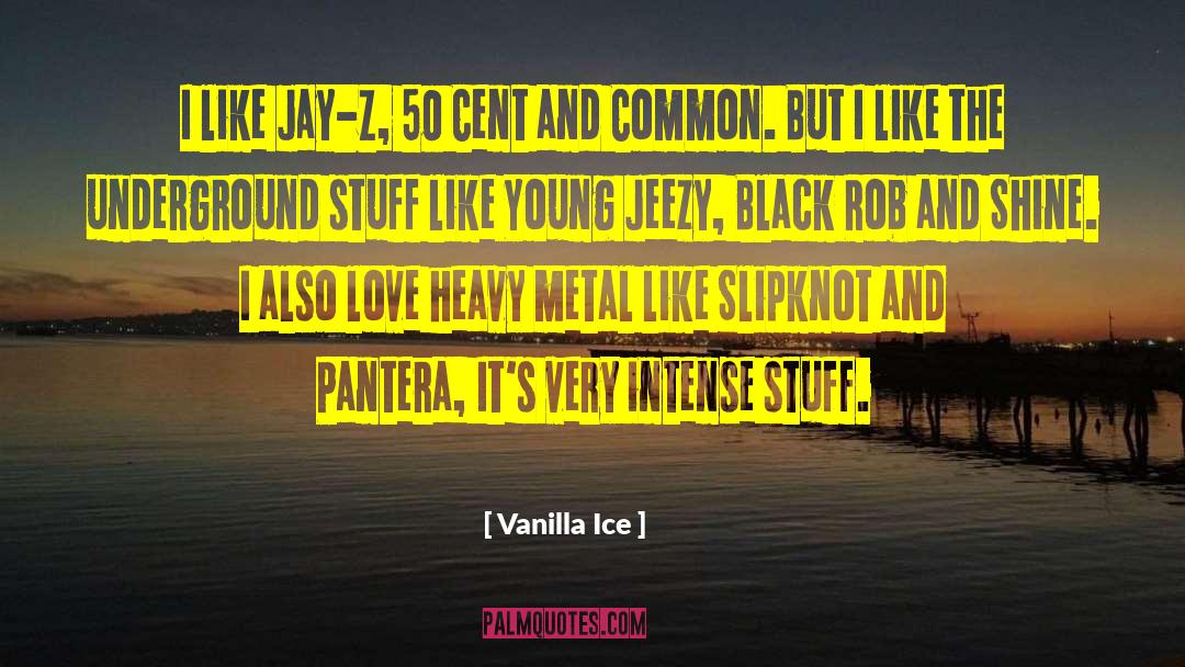 Vanilla Ice Quotes: I like Jay-Z, 50 Cent