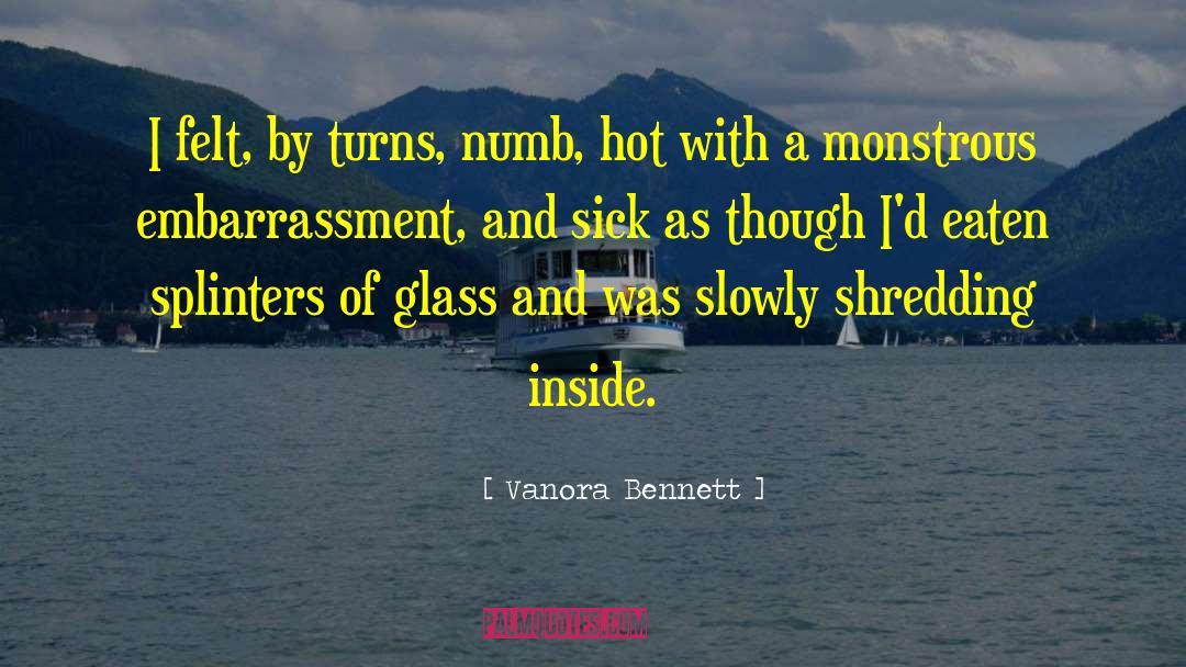 Vanora Bennett Quotes: I felt, by turns, numb,