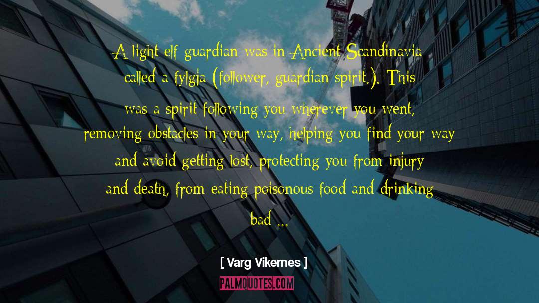 Varg Vikernes Quotes: A light elf guardian was