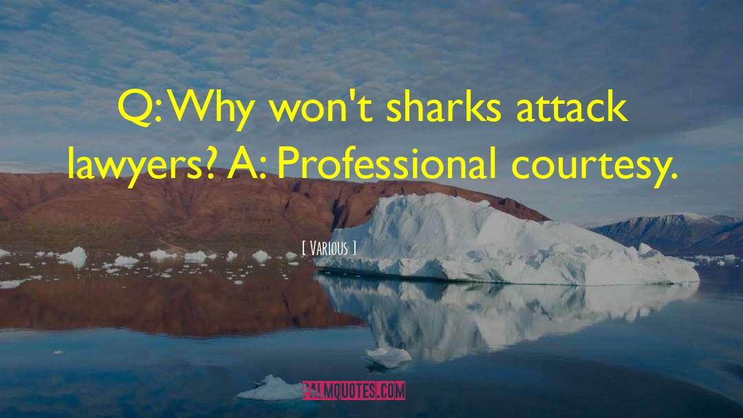 Various Quotes: Q: Why won't sharks attack