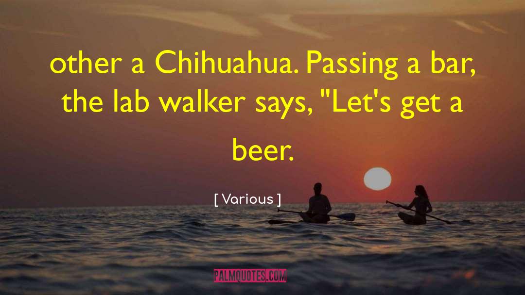 Various Quotes: other a Chihuahua. Passing a