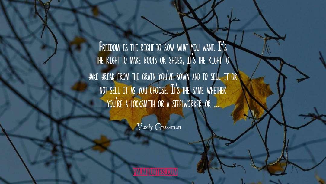 Vasily Grossman Quotes: Freedom is the right to