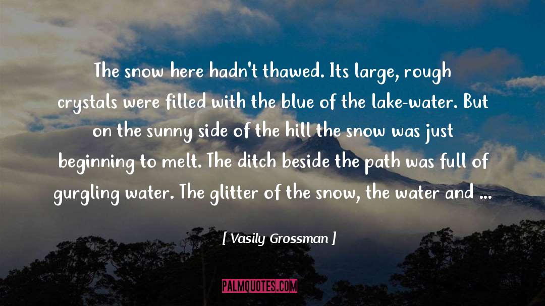 Vasily Grossman Quotes: The snow here hadn't thawed.