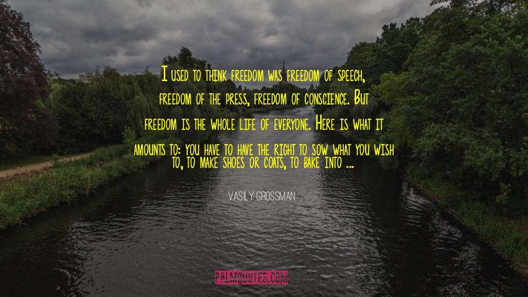 Vasily Grossman Quotes: I used to think freedom