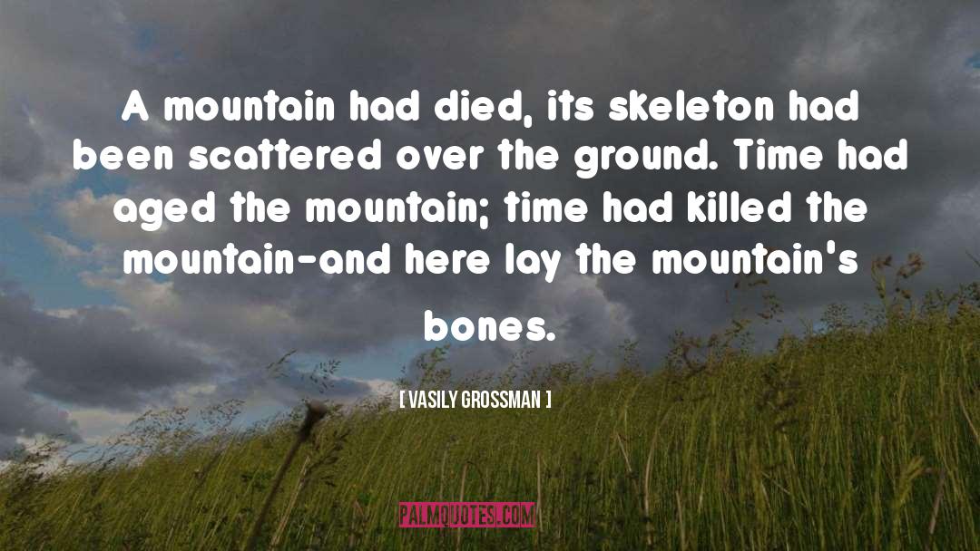 Vasily Grossman Quotes: A mountain had died, its