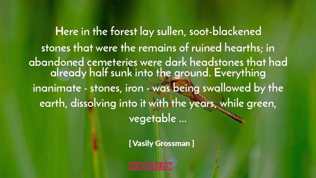 Vasily Grossman Quotes: Here in the forest lay