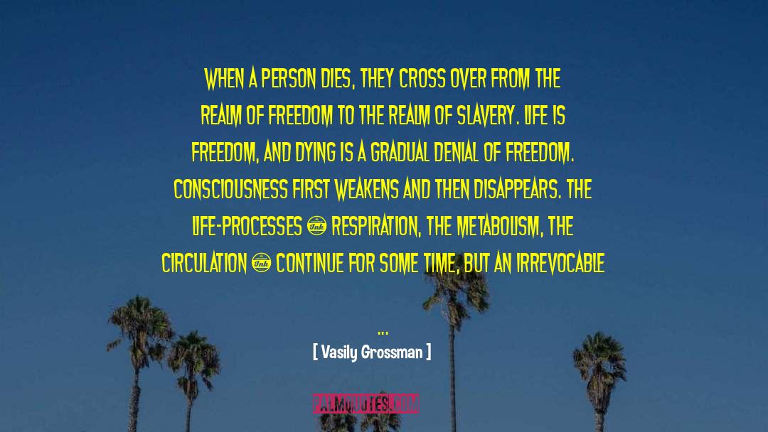 Vasily Grossman Quotes: When a person dies, they