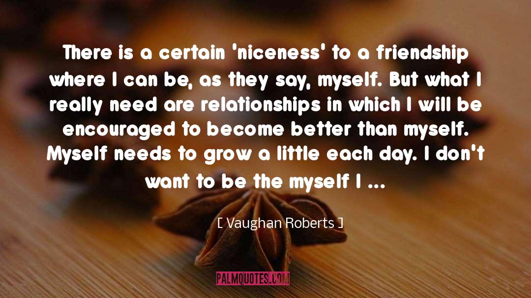 Vaughan Roberts Quotes: There is a certain 'niceness'
