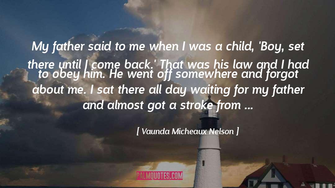 Vaunda Micheaux Nelson Quotes: My father said to me