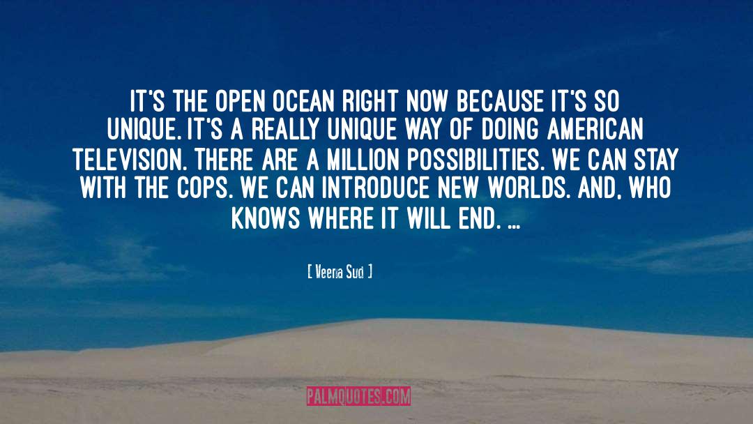 Veena Sud Quotes: It's the open ocean right