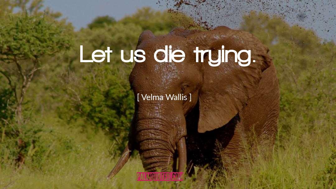 Velma Wallis Quotes: Let us die trying.