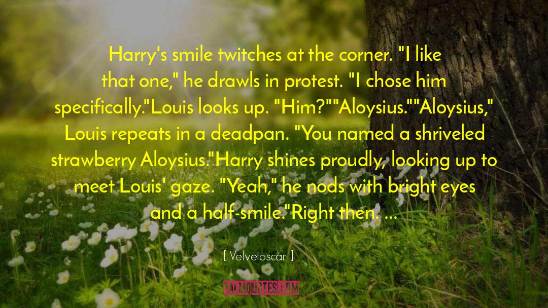 Velvetoscar Quotes: Harry's smile twitches at the