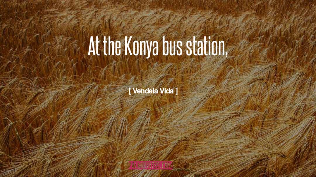 Vendela Vida Quotes: At the Konya bus station,