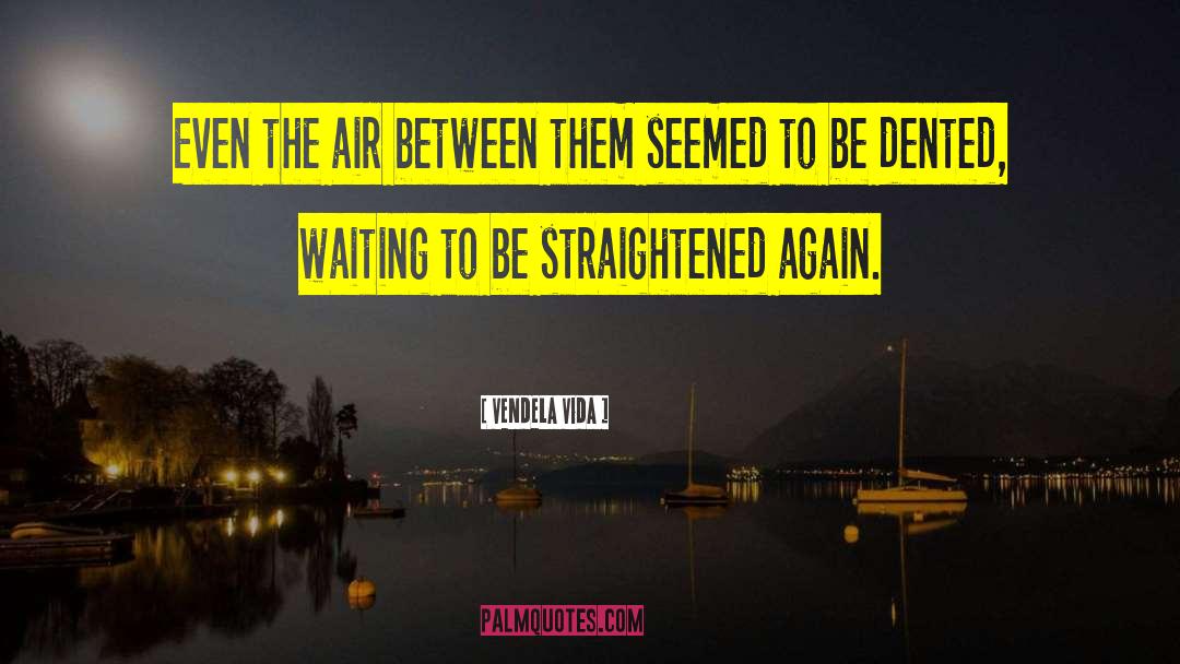 Vendela Vida Quotes: Even the air between them