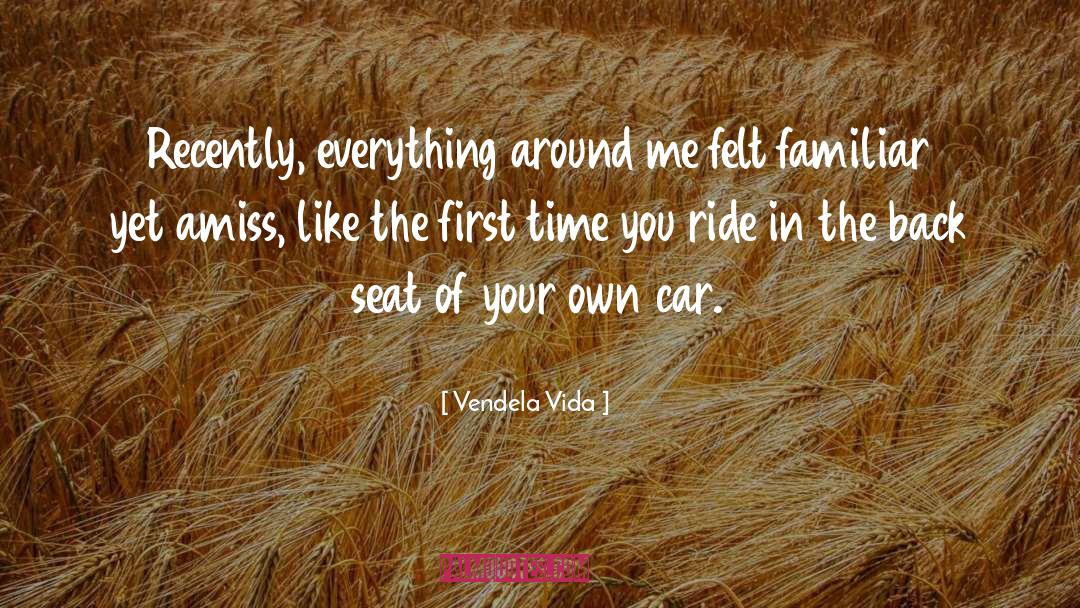 Vendela Vida Quotes: Recently, everything around me felt