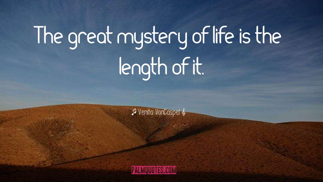 Venita VanCaspel Quotes: The great mystery of life