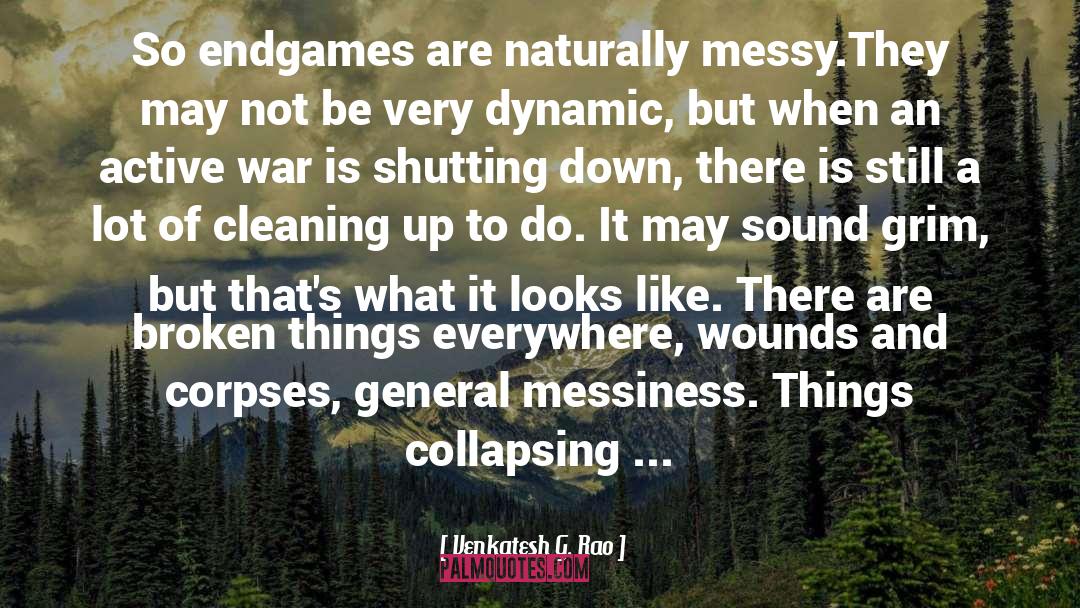 Venkatesh G. Rao Quotes: So endgames are naturally messy.<br