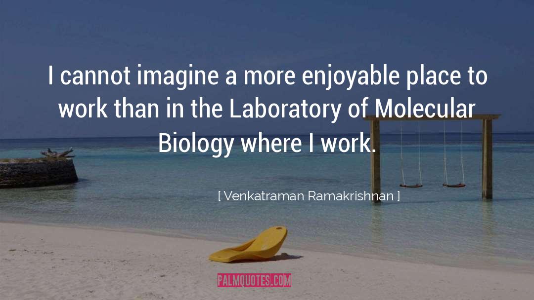 Venkatraman Ramakrishnan Quotes: I cannot imagine a more