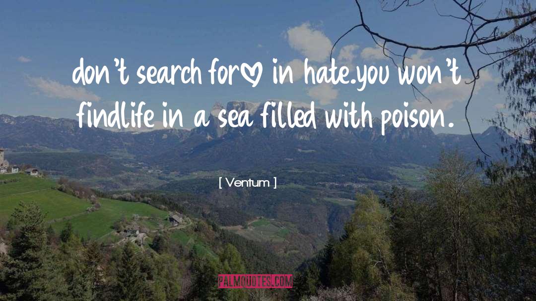 Ventum Quotes: don't search for<br />love in