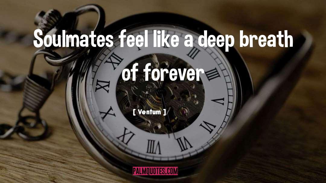 Ventum Quotes: Soulmates feel like a deep