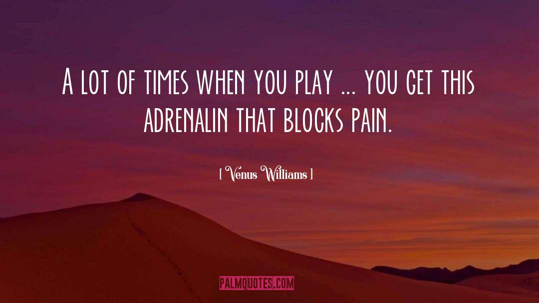Venus Williams Quotes: A lot of times when