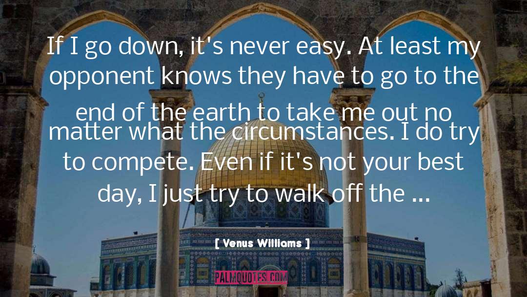 Venus Williams Quotes: If I go down, it's