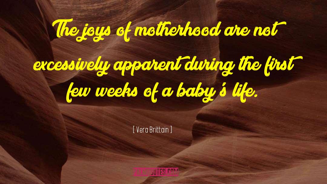 Vera Brittain Quotes: The joys of motherhood are