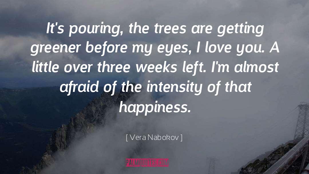 Vera Nabokov Quotes: It's pouring, the trees are