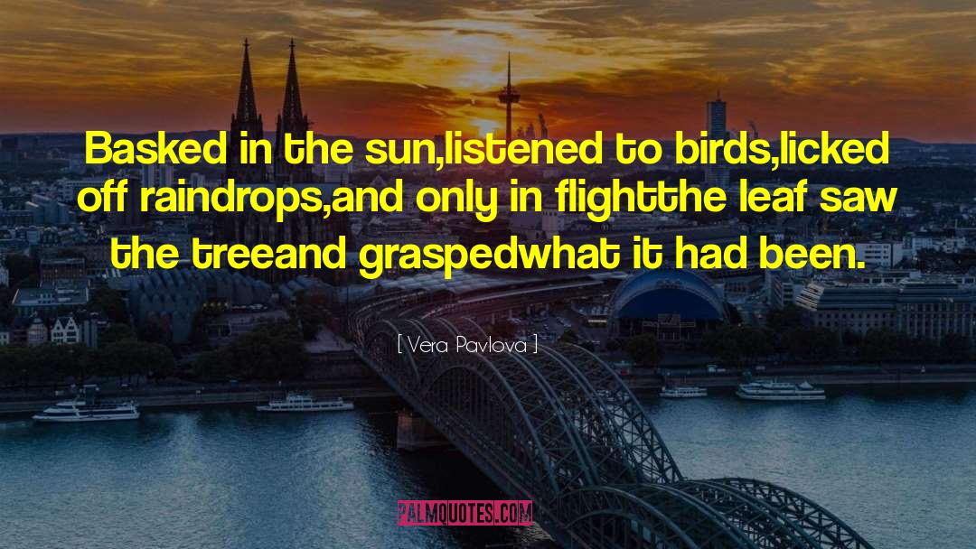 Vera Pavlova Quotes: Basked in the sun,listened to