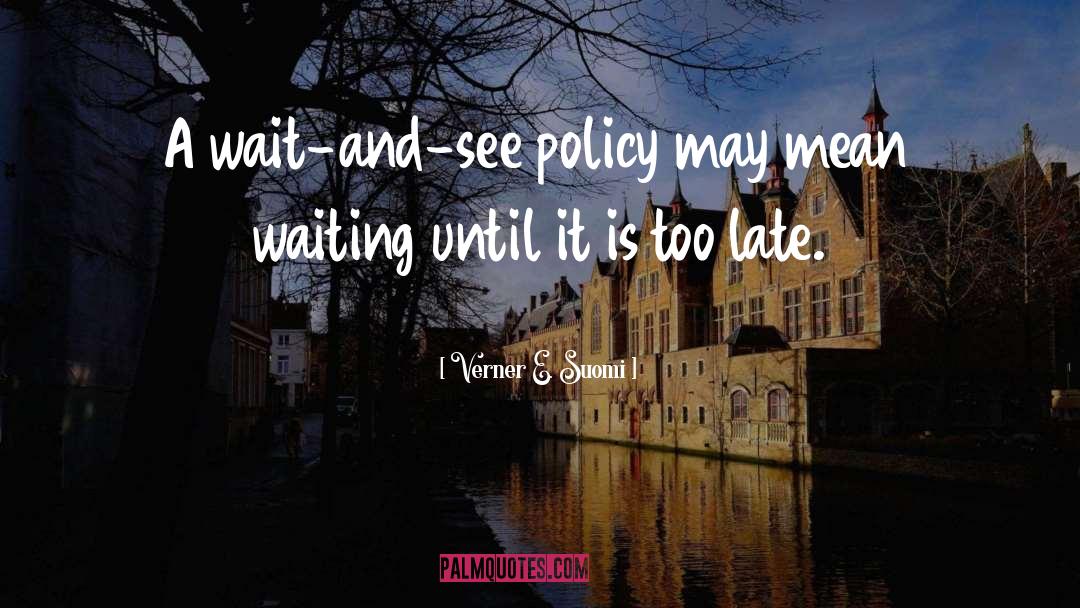 Verner E. Suomi Quotes: A wait-and-see policy may mean