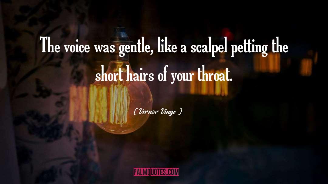 Vernor Vinge Quotes: The voice was gentle, like