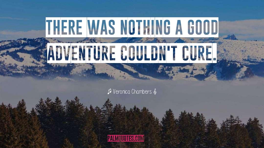 Veronica Chambers Quotes: There was nothing a good