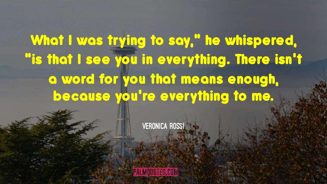 Veronica Rossi Quotes: What I was trying to