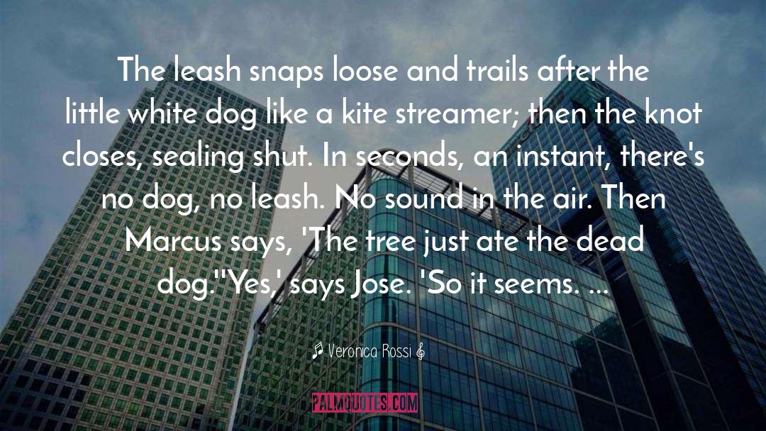 Veronica Rossi Quotes: The leash snaps loose and