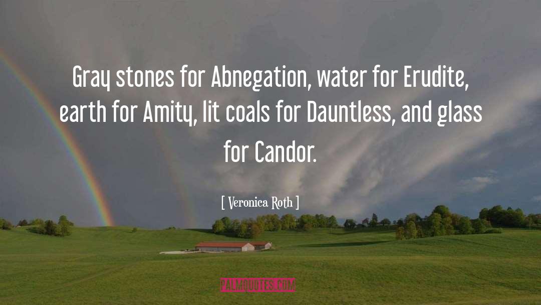 Veronica Roth Quotes: Gray stones for Abnegation, water