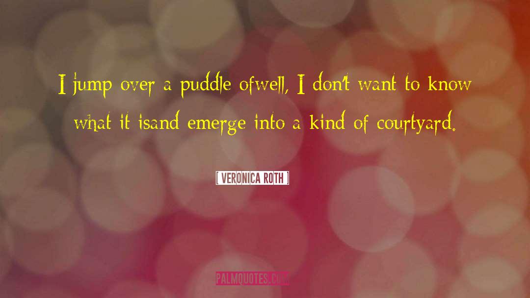 Veronica Roth Quotes: I jump over a puddle