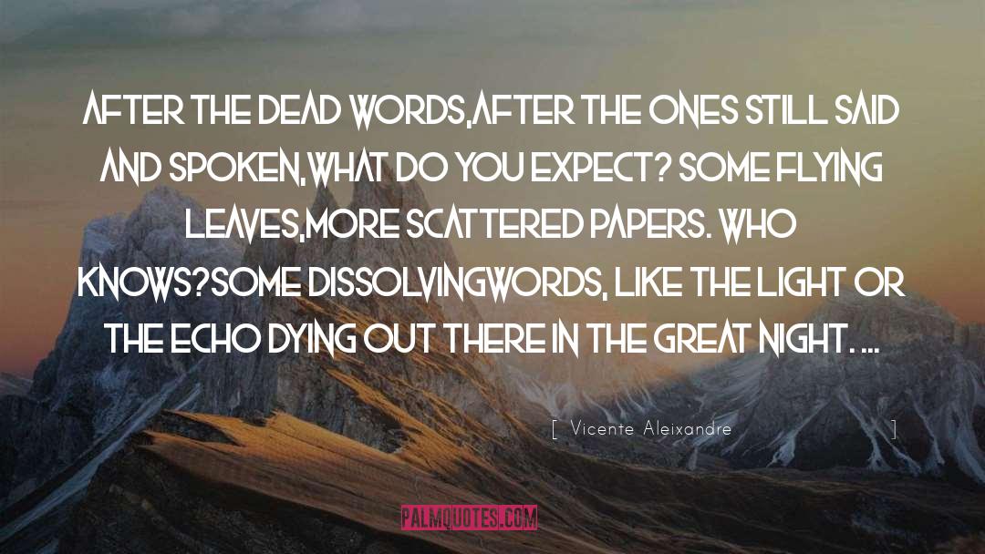 Vicente Aleixandre Quotes: After the dead words,<br />after