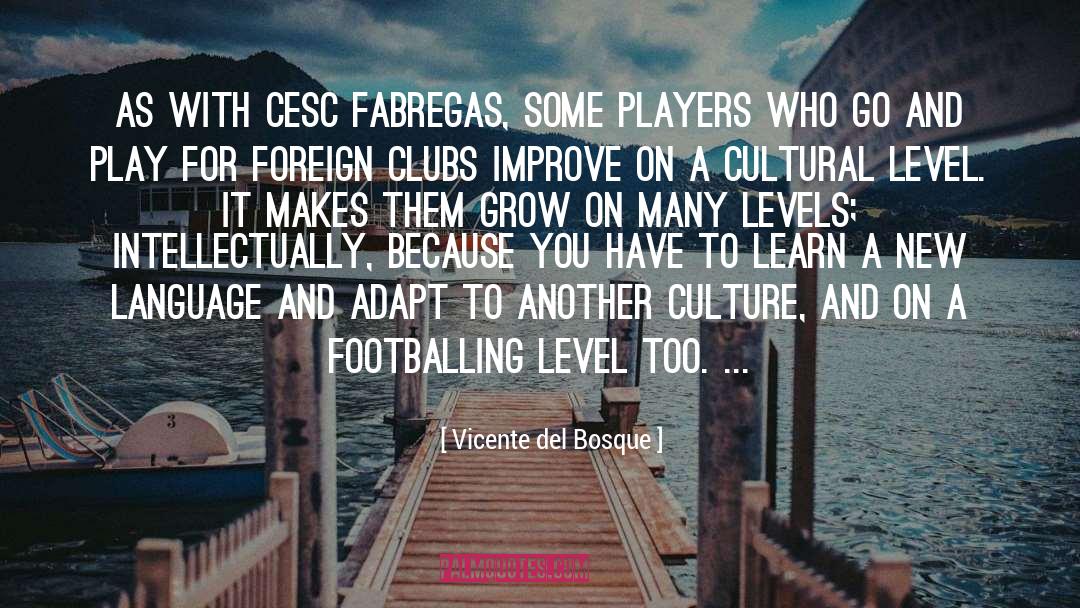Vicente Del Bosque Quotes: As with Cesc Fabregas, some
