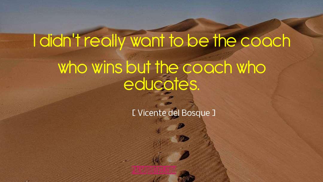 Vicente Del Bosque Quotes: I didn't really want to
