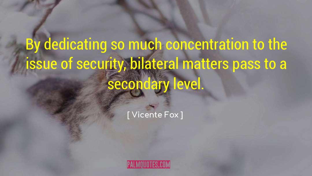 Vicente Fox Quotes: By dedicating so much concentration